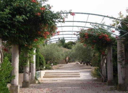 Un Gite En Provence - Les Jardins De Fontanille Saint-Rémy-de-Provence Buitenkant foto