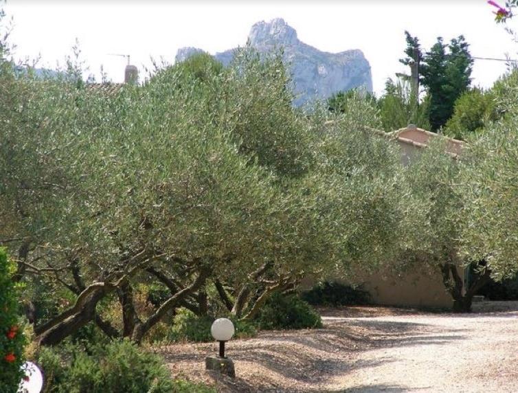 Un Gite En Provence - Les Jardins De Fontanille Saint-Rémy-de-Provence Buitenkant foto